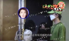 圈内人爆料白鹿视频,白鹿视频内容引发热议，真相究竟如何？