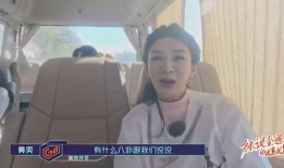 刘聪喝醉爆料视频大全,揭秘娱乐圈不为人知的一面