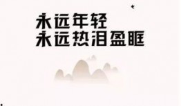 社会热点爆料视频素材,视频素材背后的真相与反思