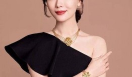 陈数明星大爆料视频