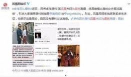 爆料日本离婚事件视频,夫妻矛盾激化引发社会关注