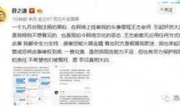 谢霆锋爆料卓伟视频,揭秘娱乐圈背后的秘密