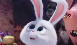 爱宠大机密免费完整版在线观看,免费完整版在线观看，欢乐宠物世界等你探索