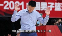 医生爆料杨鸣视频大全,揭秘背后惊人内幕