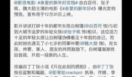 圈内小料大全爆料,小料大全爆料背后的真相与内幕