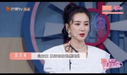 刘芸爆料姐姐视频,揭秘娱乐圈背后的故事