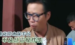 大松鼠爆料王迅视频播放,王迅视频幕后故事大曝光！