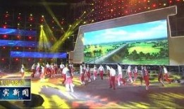 宜宾学校爆料视频,揭秘校园内幕事件