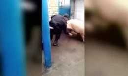 祥仔手机在线视频观看,畅享精彩瞬间，解锁娱乐新境界