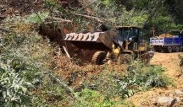 遂川爆料哥最新城南