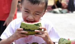 吃瓜的宝贝全集免费看,揭秘娱乐圈背后的秘密与真相