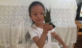 石头妈妈爆料陈思妍视频,揭秘背后惊人内幕