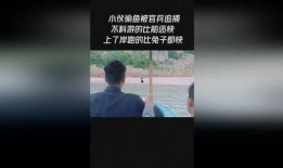 最新偷鱼爆料事件视频播放,最新偷鱼风波引发网友热议