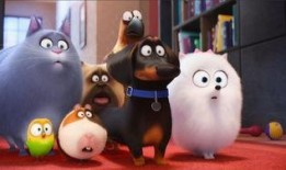 爱宠大机密免费完整版在线观看,免费完整版在线观看，欢乐宠物世界等你探索