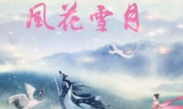 风花雪月在线观看,穿越时空的浪漫邂逅