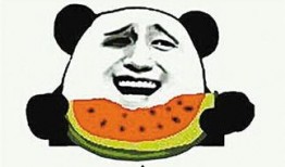 吃瓜群众免费吃瓜小学生,小学生吃瓜群众狂欢记