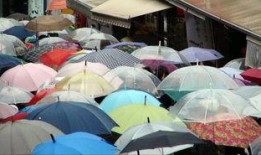 重庆网友爆料雨伞视频播放,揭秘城市雨中风情
