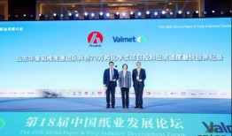 太阳纸业爆料新闻事件,揭秘环保与商业利益的冲突