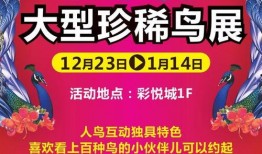 彩城视频爆料大全最新,揭秘热门事件幕后真相