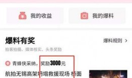 我的今日头条爆料视频,揭秘事件背后惊人真相！