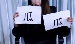 娱乐吃瓜酱打拳视频大全,娱乐吃瓜酱带你领略打拳视频大全