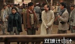 双城计中计在线观看,智斗谋略，在线揭秘神秘计谋