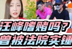 老汪爆料赌博视频在线观看,揭秘赌博视频，在线观看惊心动魄瞬间