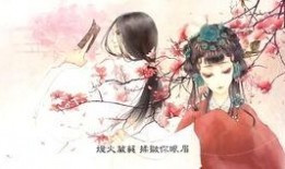 风花雪月在线观看,穿越时空的浪漫邂逅